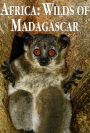 Wilds of Madagascar