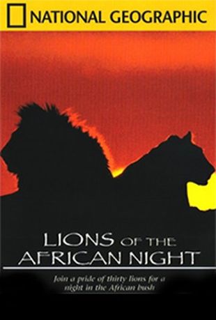 Lions of the African Night