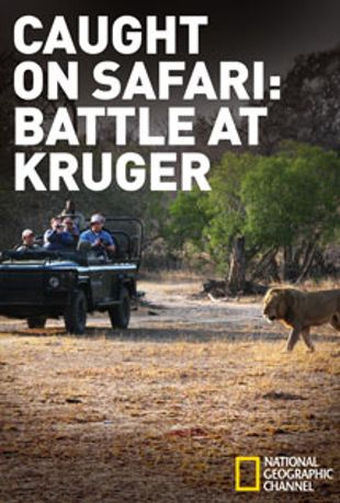 Caught on Safari: Battle at Kruger