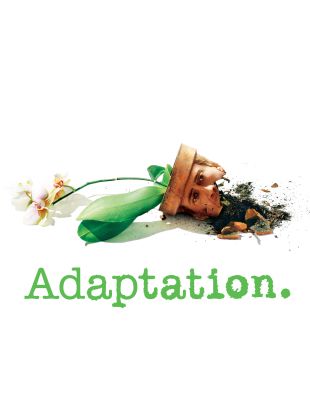 Adaptation