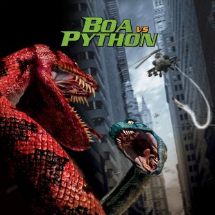 Boa vs. Python