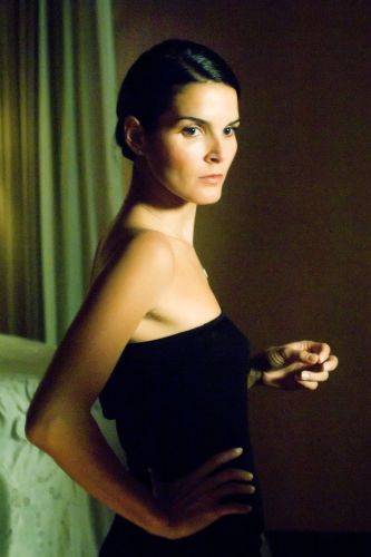 Angie Harmon born August 10, 1972 (age 46) nudes (33 photo) Hacked, Instagram, cleavage