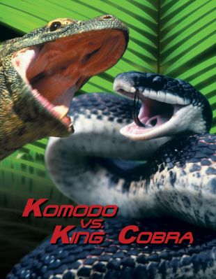 Komodo vs. Cobra