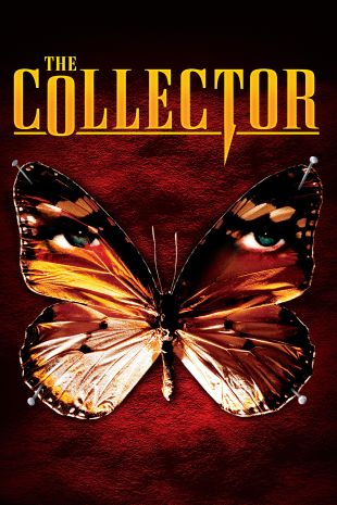 The Collector