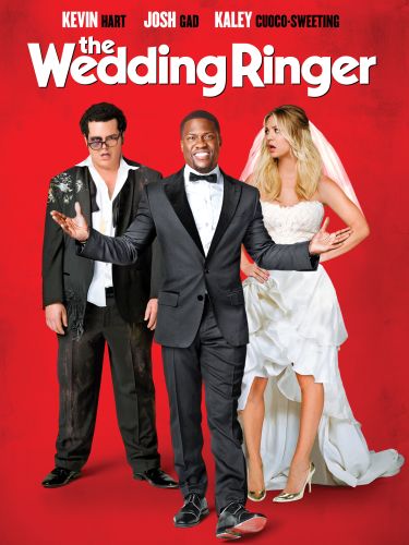 The Wedding Ringer 2015 Jeremy Garelick Review Allmovie