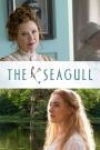 The Seagull