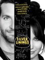 Silver Linings Playbook