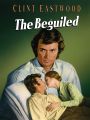 The Beguiled