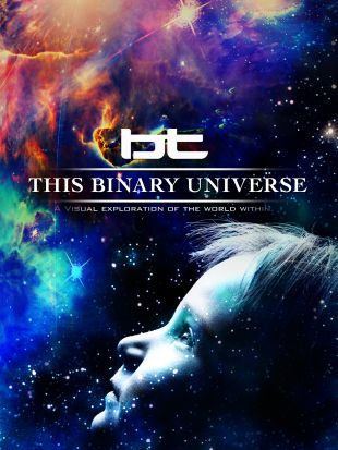This Binary Universe
