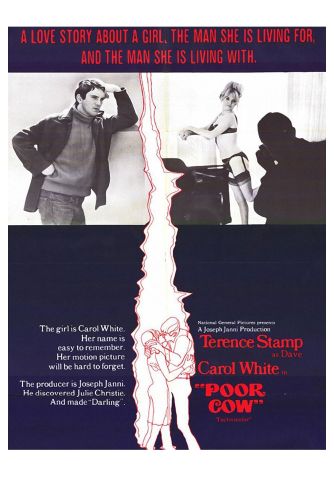 Poor Cow 1968 Ken Loach Cast And Crew Allmovie Search results for kate williams. allmovie