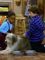 The Cosby Show : A Girl and Her Dog