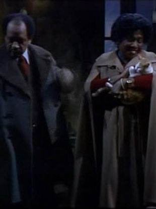 The Jeffersons : And the Doorknobs Shined like Diamonds