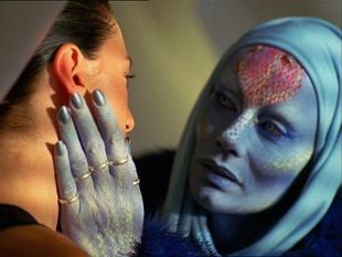 Farscape : Self-Inflicted Wounds: Coulda, Woulda, Shoulda