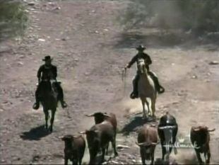 The High Chaparral : Shadows on the Land