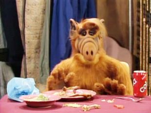 ALF : Have You Seen Your Mother, Baby?