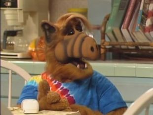 ALF : Wanted: Dead or Alive