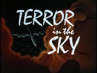 Batman: The Animated Series : Terror in the Sky
