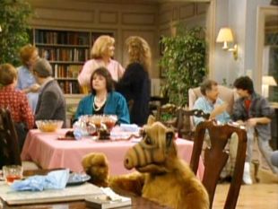 ALF : We Are Family