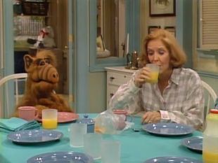 ALF : Mother and Child Reunion