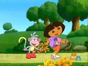 Dora the Explorer : Star Catcher (2003) - | Synopsis, Characteristics ...