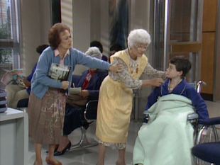 The Golden Girls : The Days and Nights of Sophia Petrillo