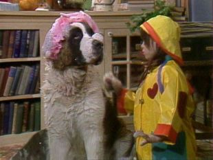 Punky Brewster : Dog Dough Afternoon