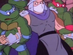 Teenage Mutant Ninja Turtles : Cowabunga Shredhead