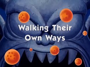 Dragon Ball : Walking Their Own Ways