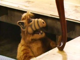 ALF : Movin' Out