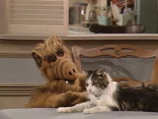 ALF : Looking for Lucky