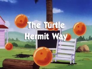 Dragon Ball : The Turtle Hermit Way