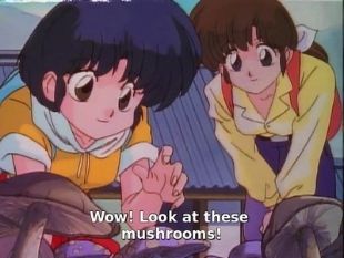 Ranma 1/2 : Let's Go to the Mushroom Temple