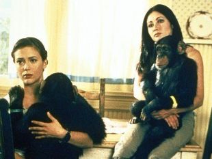 Charmed : Astral Monkey