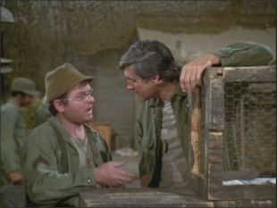 M*A*S*H : What's Up, Doc?