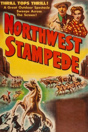 Northwest Stampede