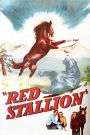 The Red Stallion