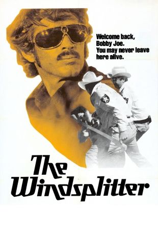 The Windsplitter