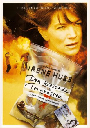 Irene Huss: The Horse Figurine