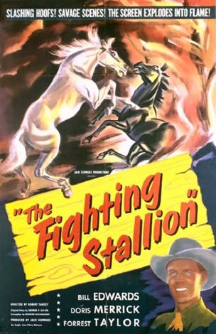 The Fighting Stallion