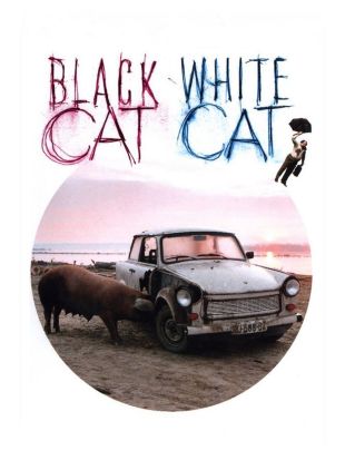 Black Cat, White Cat