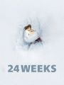 24 Weeks