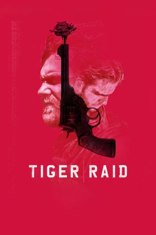 Tiger Raid