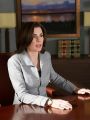 The Good Wife : End