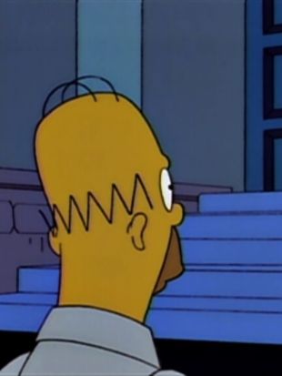 The Simpsons : Burns' Heir