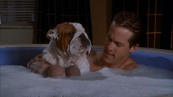 National Lampoon's Van Wilder (2002) - Walt Becker ...