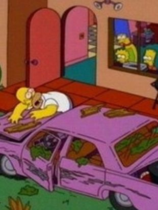 The Simpsons : Wild Barts Can't Be Broken