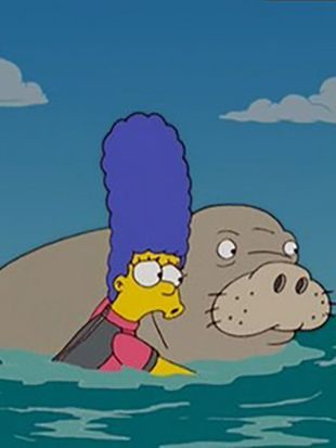 The Simpsons : Bonfire of the Manatees