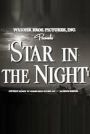 Star in the Night