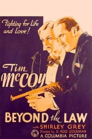 beyond the law movie