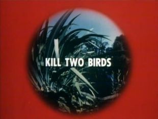 Kill Two Birds